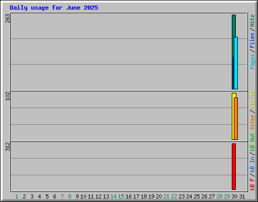 Daily usage for June 2025