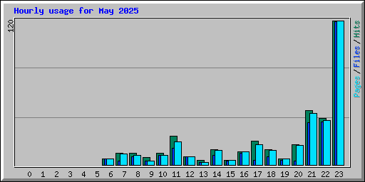Hourly usage for May 2025