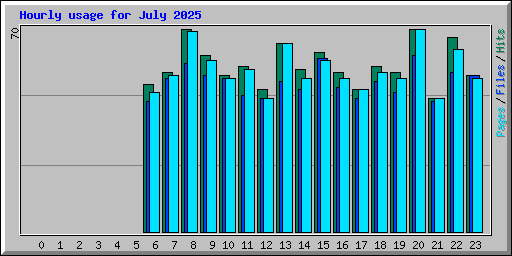 Hourly usage for July 2025