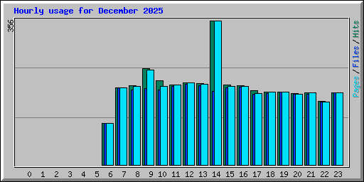 Hourly usage for December 2025