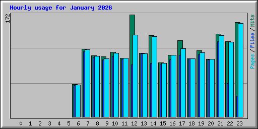 Hourly usage for January 2026